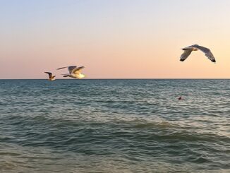 Черное море - в Алушту в сентябре стоит ехать на отдых!