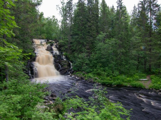 Водопад Кивач хочет увидеть в Карелии каждый первый