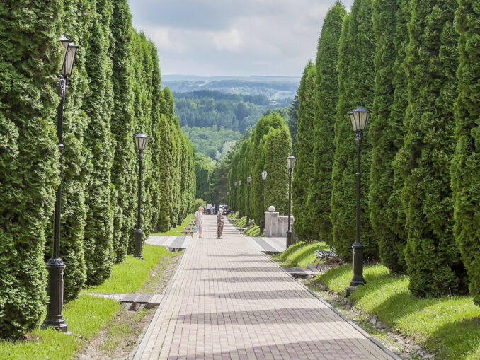Кипарисовая аллея - в Кисловодске в июле стоит теплая, но нежаркая погода